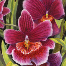 Оригинал схемы вышивки «мильтон» (№2016008)