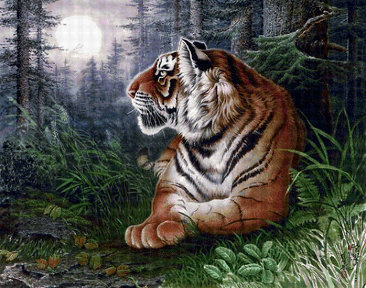 Иллюстрации тигров