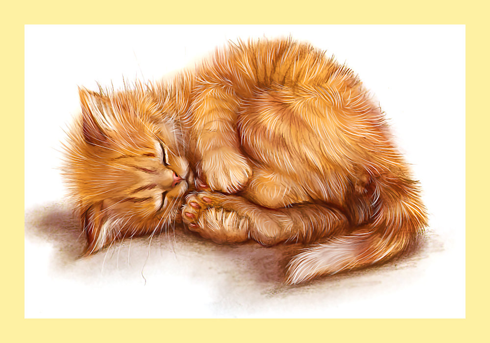 Серия "Коты". - животные, коты - оригинал