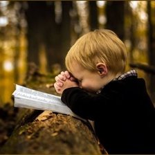 Схема вышивки «№2017047»