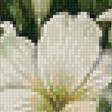 Предпросмотр схемы вышивки «Белые лилии.» (№2017084)