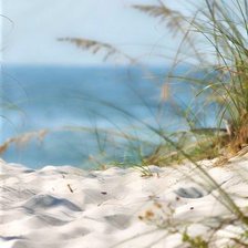 Схема вышивки «№2017139»