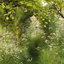 Схема вышивки «№2017142»