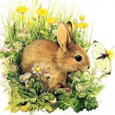 Схема вышивки «№2017148»