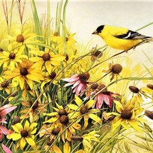 Схема вышивки «№2017149»