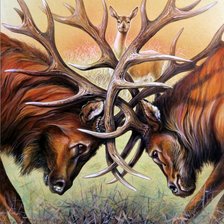 Схема вышивки «№2017301»