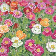 Схема вышивки «маковое поле»