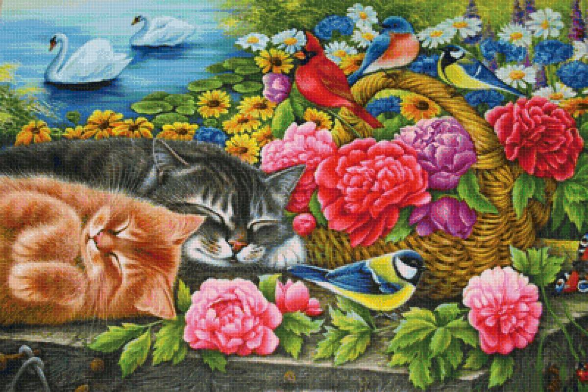 pohoda - предпросмотр