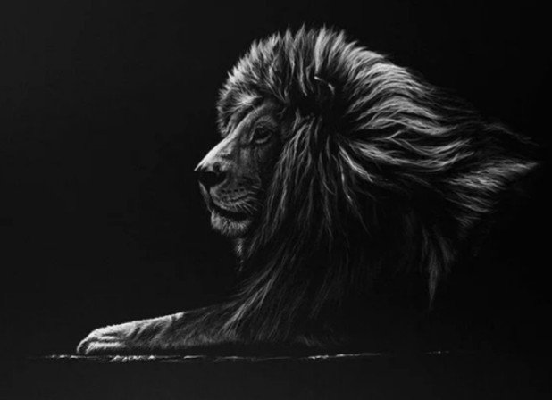 Лев - монохром - оригинал