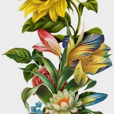 Схема вышивки «цветы»