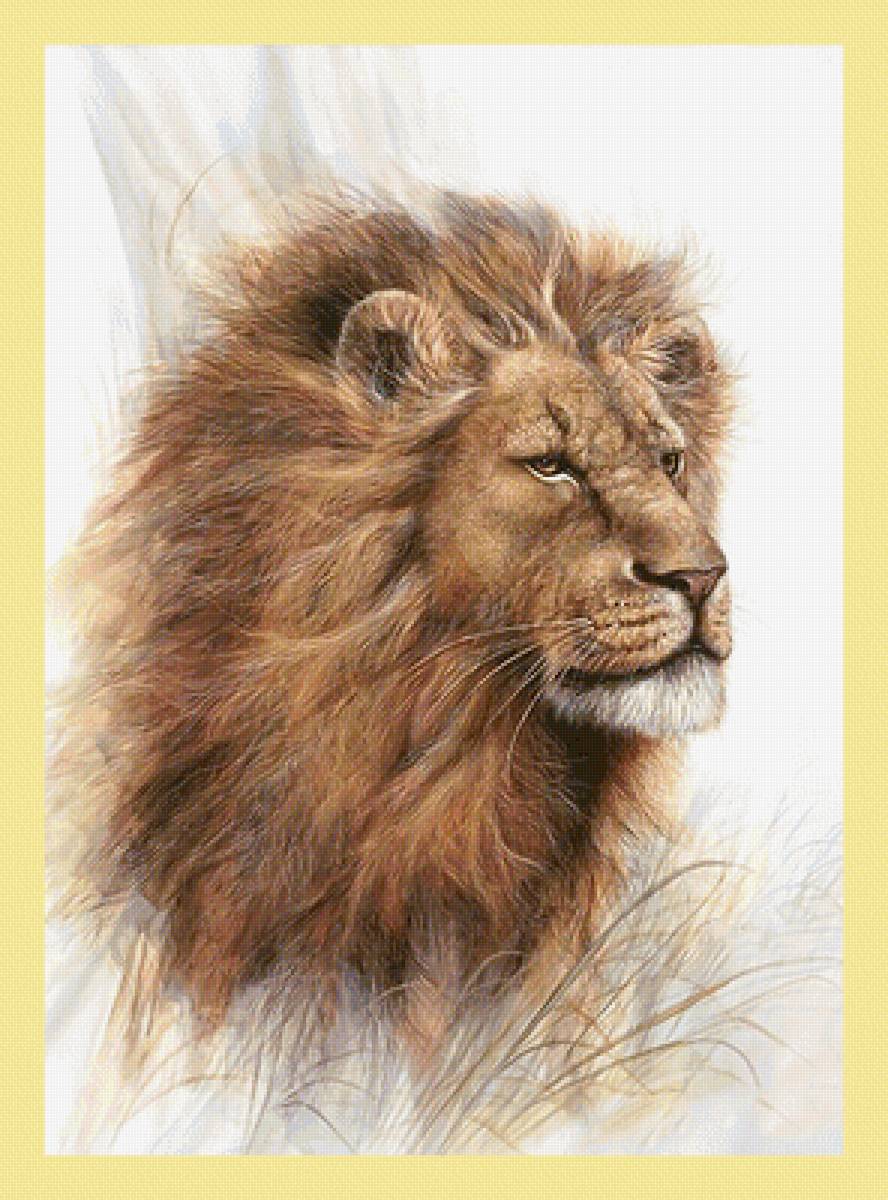 Серия "Хищники". Лев - животные, хищники, лев - предпросмотр