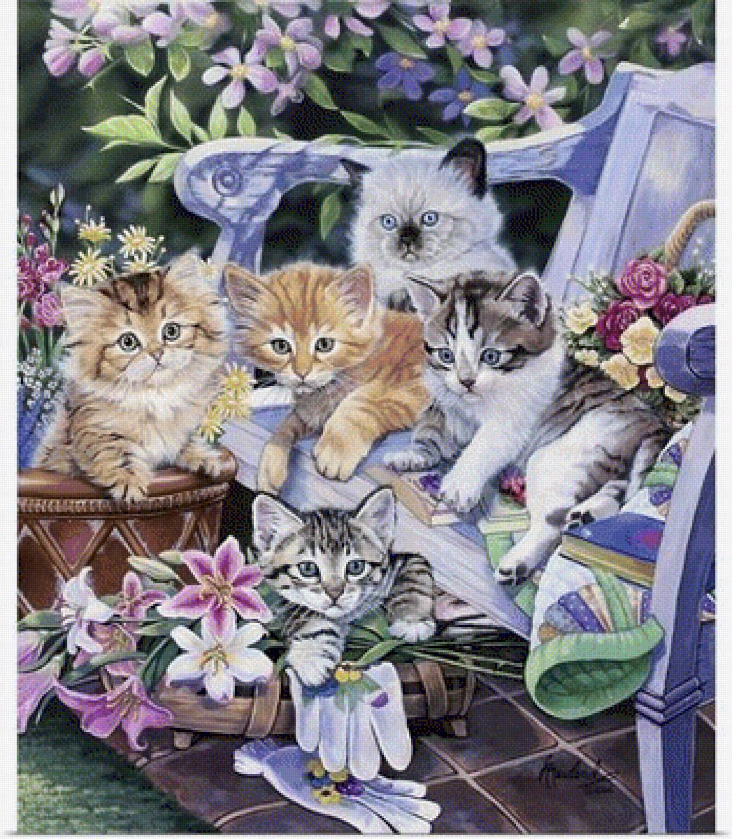 Cats - коты - предпросмотр