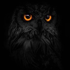 Схема вышивки «Ночь и сова»