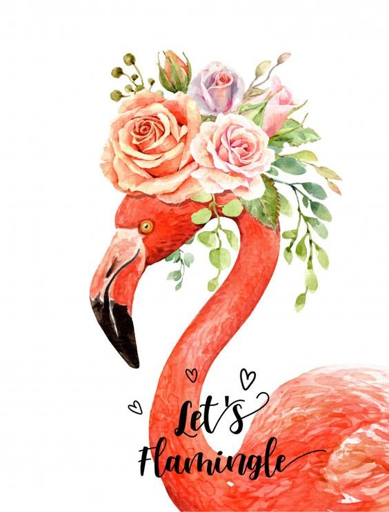 Фламинго 4 - птицы - оригинал