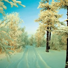 Схема вышивки «Зима»