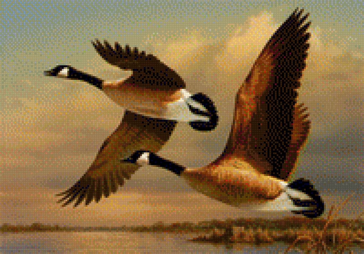 Vándormadarak - madár, természet - предпросмотр