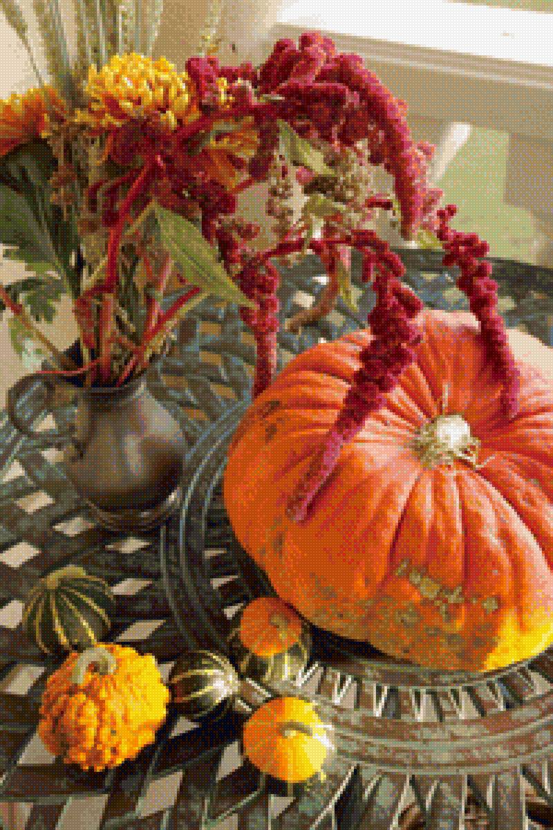 Натюрморт с тыквой - осенний, букет, тыква, натюрморт, амарант, осень - предпросмотр