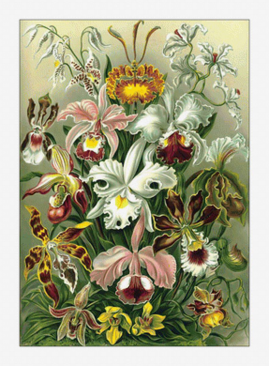 Цветы. - живопись, цветы, букет - предпросмотр