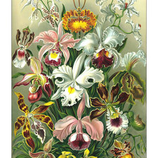Оригинал схемы вышивки «Цветы.» (№2019535)