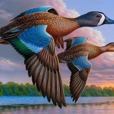 Схема вышивки «птицы»