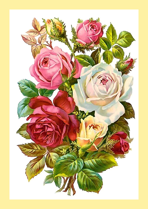 Серия "Винтаж". Розы - флора, цветы, розы - оригинал
