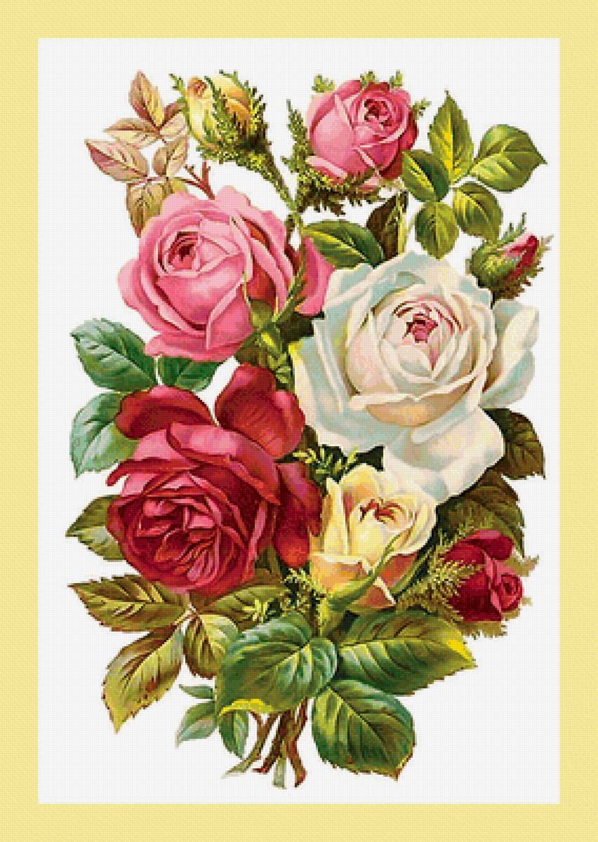 Серия "Винтаж". Розы - розы, цветы, флора - предпросмотр
