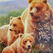 Оригинал схемы вышивки «Bear's Family.» (№2019792)