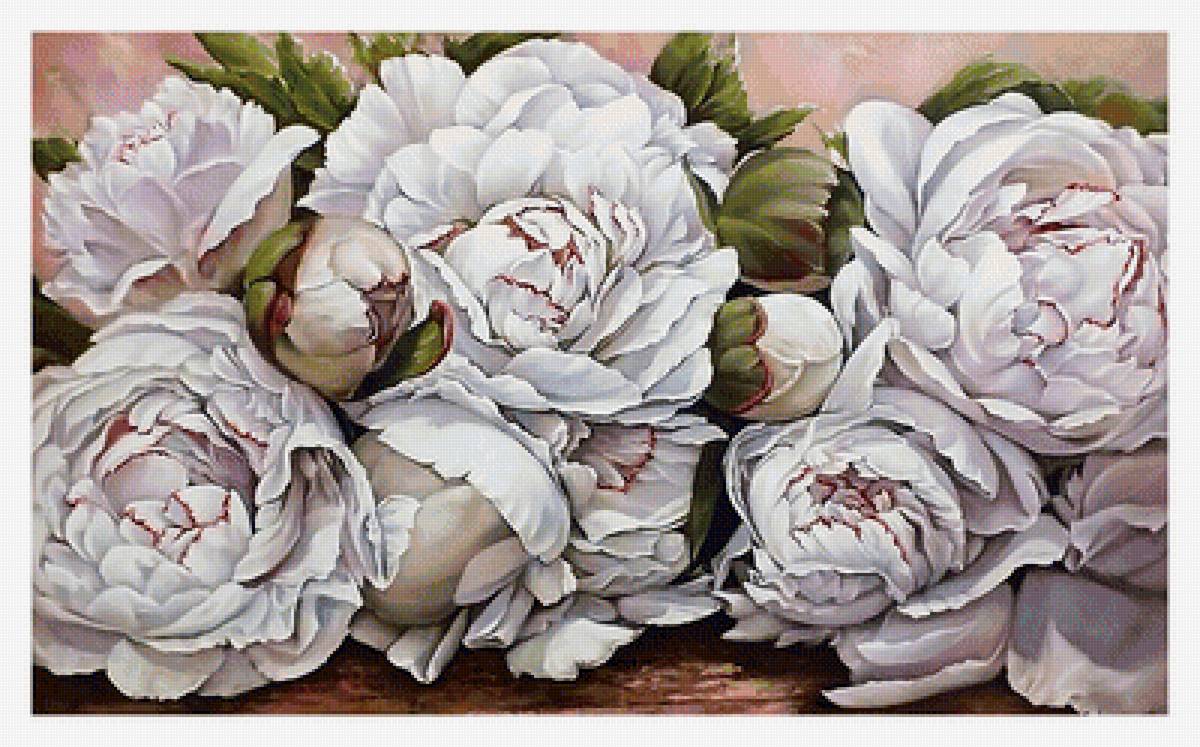 Серия "Пионы" - флора, пионы, цветы - предпросмотр