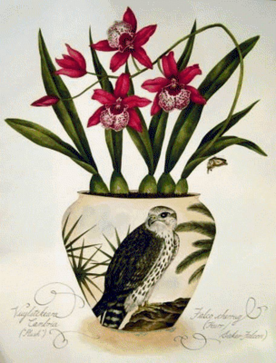 ORCHIDS - орхидея - предпросмотр