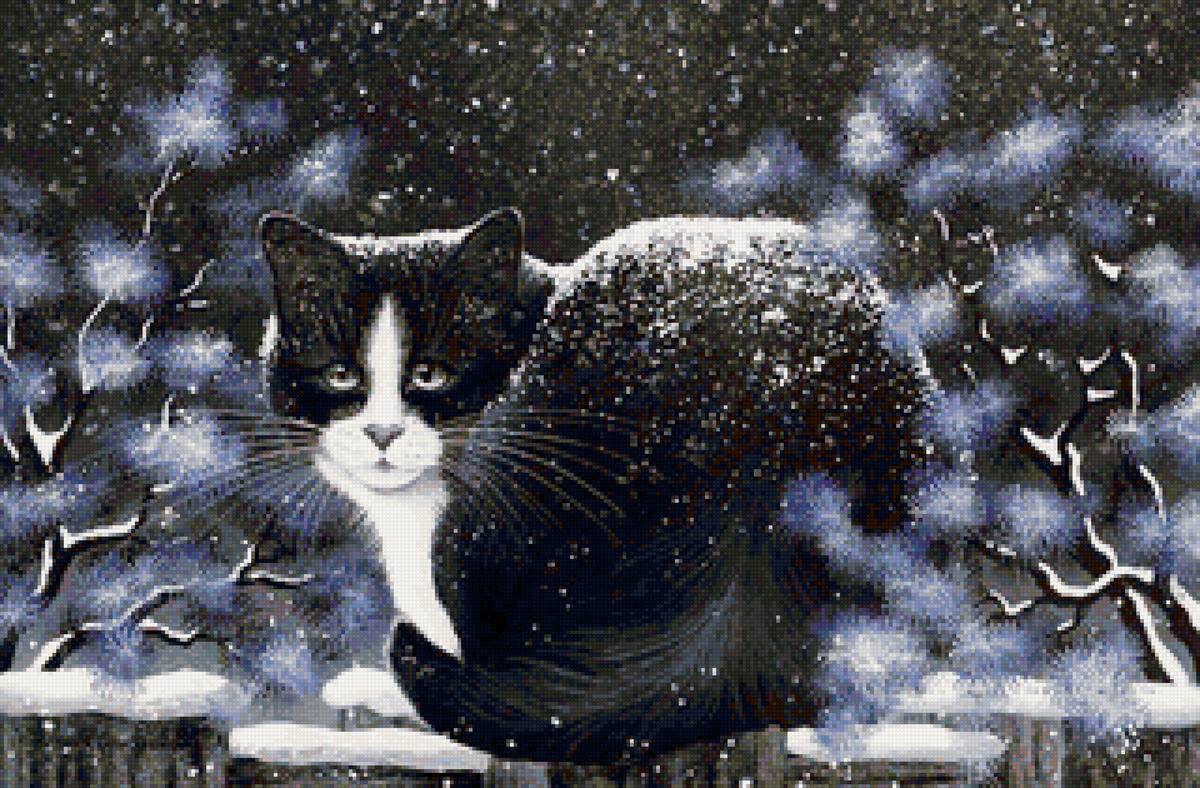 Кот на заборе - зима, кот, кошки, снег - предпросмотр