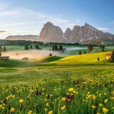 Схема вышивки «№2020796»