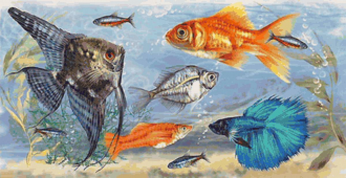 Подводный мирок. - рыбки, животные - предпросмотр