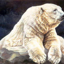 Оригинал схемы вышивки «Белый медведь» (№2020969)