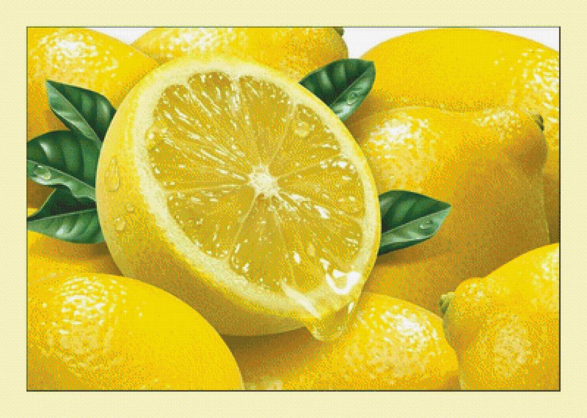 №2021060 - фрукты, лимоны, натюрморт - предпросмотр