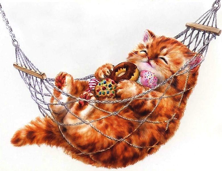 Рыжик на отдыхе - котенок, гамак, сладости - оригинал