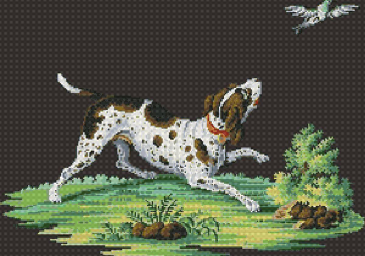 №2021204 - предпросмотр