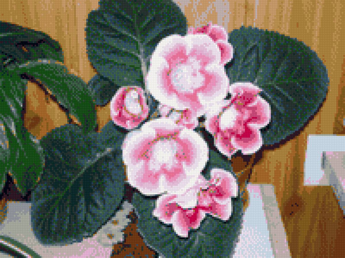 Глоксиния - цветы - предпросмотр