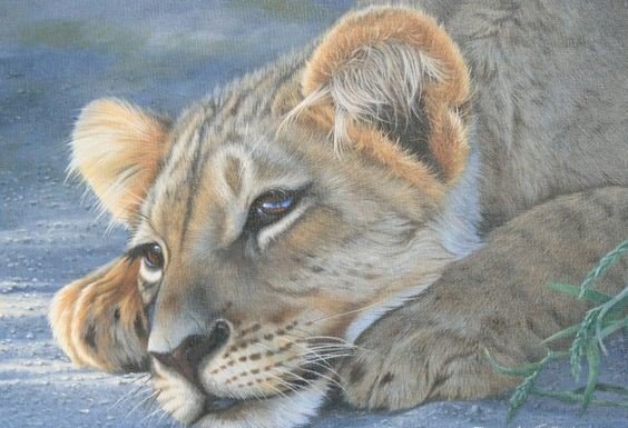 дикие - оригинал