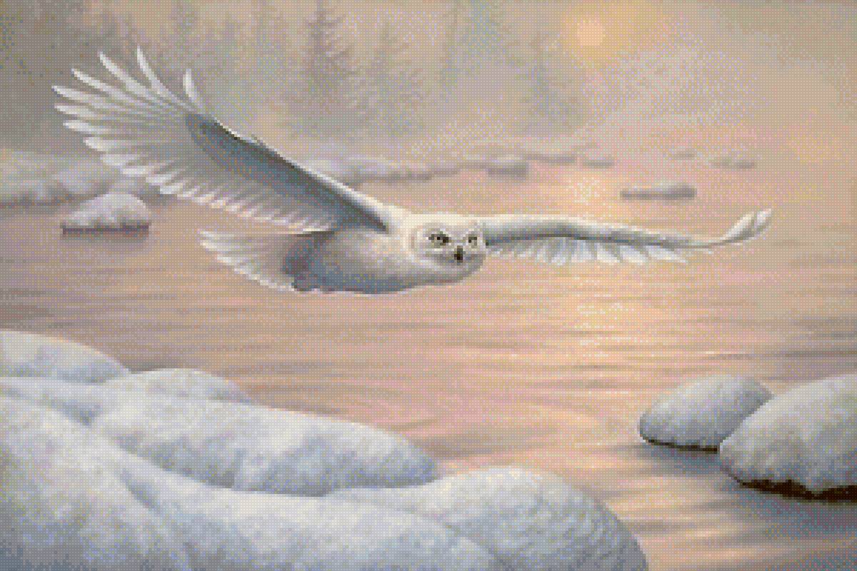 Полярная хищница - зима, полет, птицы, сова - предпросмотр