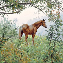 Худ. Алексей Адамов