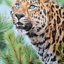 Леопард в лесу