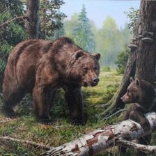 медведица с медвежонком