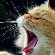 Схема вышивки «Спать пора»