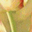 Предпросмотр схемы вышивки «Тюльпаны. Букет.» (№2022471)