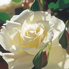 Схема вышивки «№2022536»