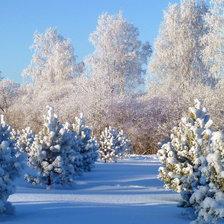 Схема вышивки «Солнечный денек»