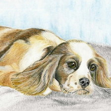 Схема вышивки «Собачья жизнь»