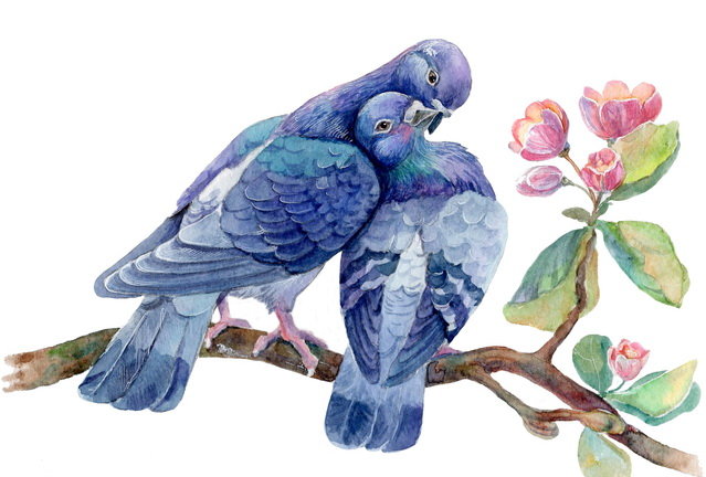 Влюблённые голубки - любовь, юлия куряева, голуби - оригинал