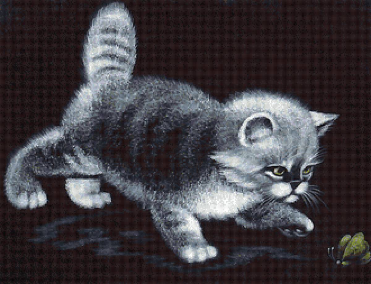 котёнок и бабочка - кот, бабочка - предпросмотр