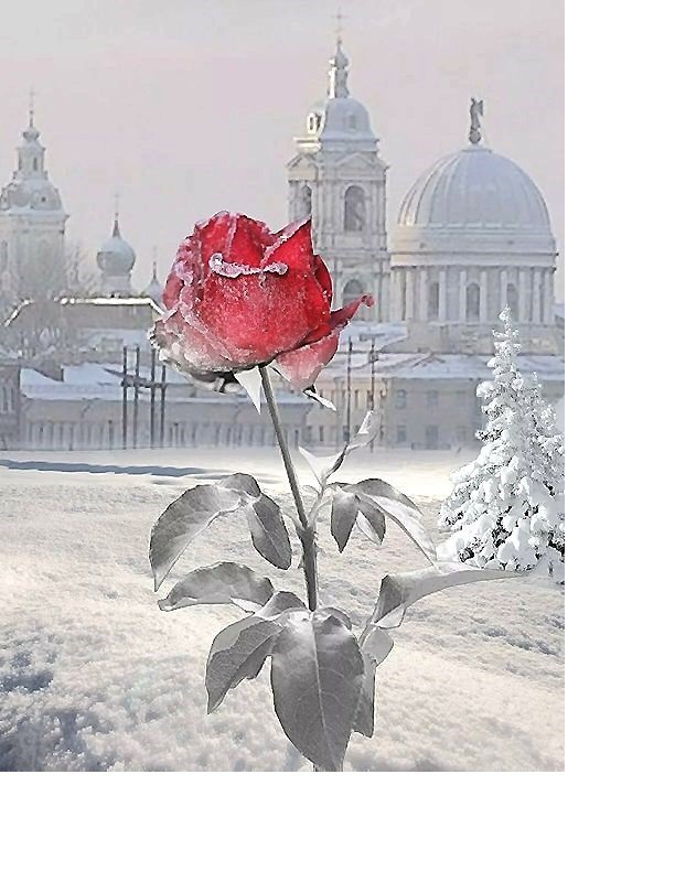 №2023517 - оригинал